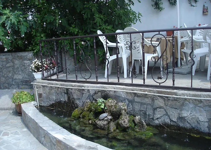 Belle プロヴディフ